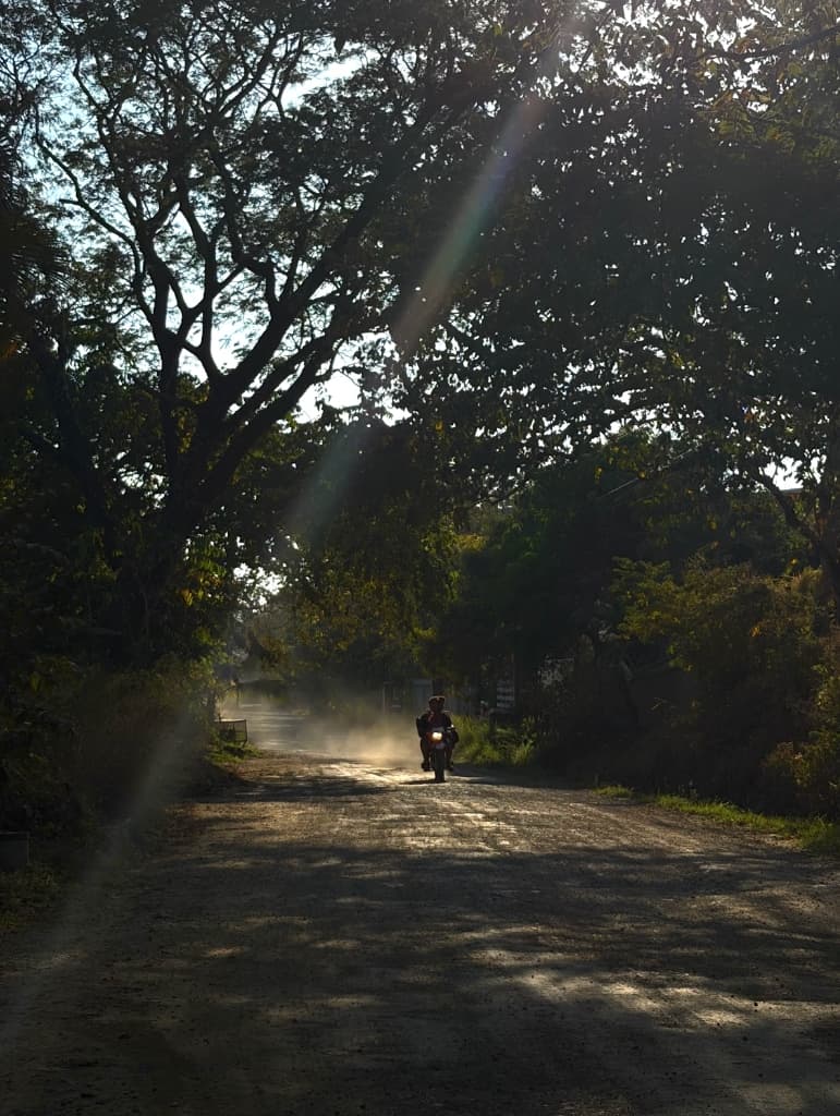Inn Surfboard Detail